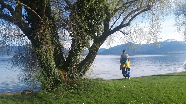 Große Ansicht vom Video