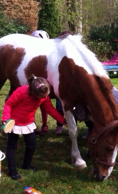 Bau eines Brunnens für unsere Reitanlage