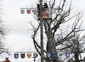 Ersatzbeschaffung Stamm Wulfener Wappenbaum u. Erneuerung Fahnenmasten