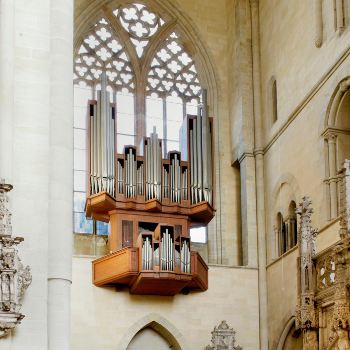 Paradiesorgelsanierung im Magdeburger Dom