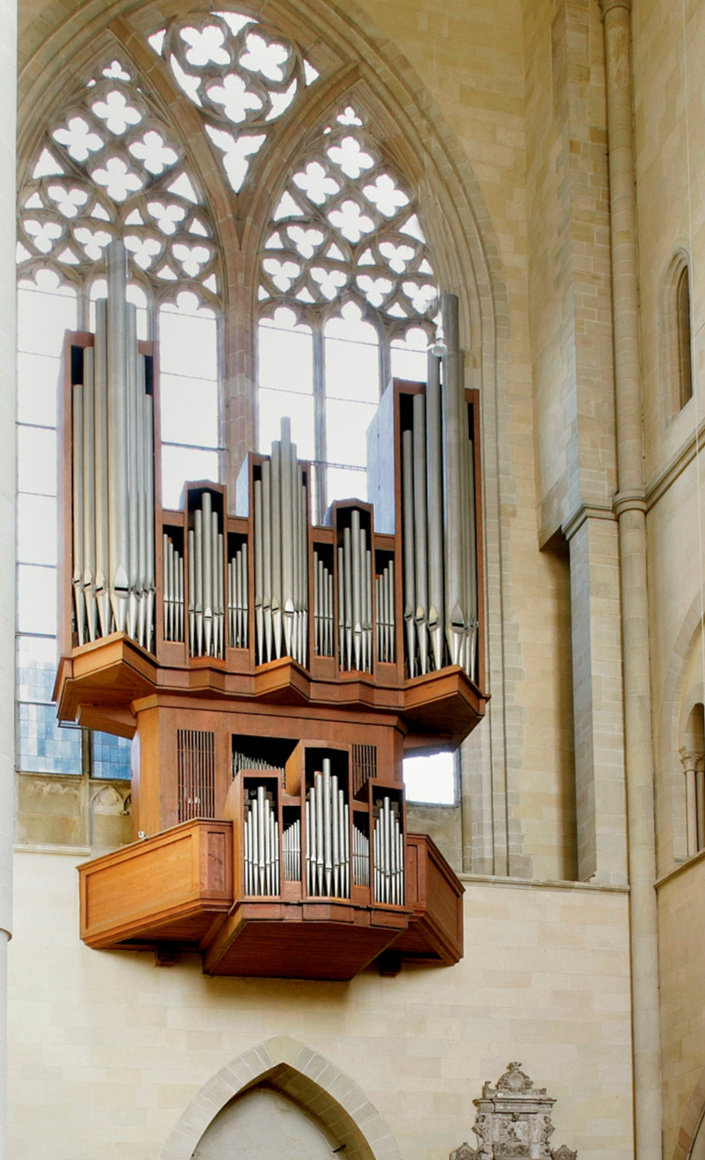 Paradiesorgelsanierung im Magdeburger Dom