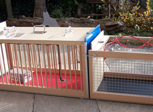 Funkgesteuerte Holzfallen für Kastrationsaktionen