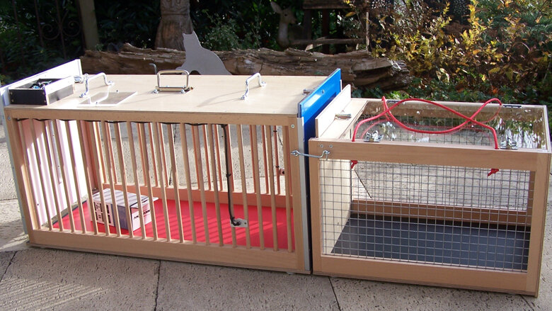 Große Ansicht vom Video