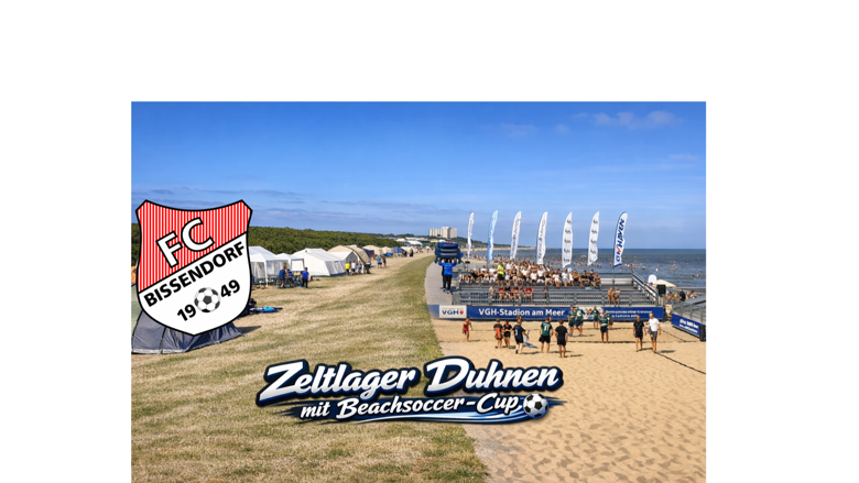 Große Ansicht vom Video