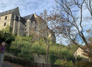 Limburger Schlosswingert e.V. - Werkzeuge für die Arbeit im Weinberg