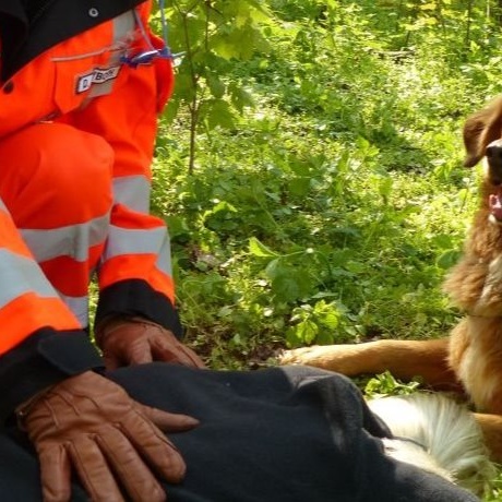 Rettungshunde Anschaffung Ausrüstung Helme