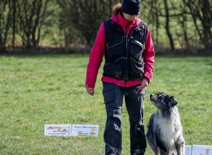 Vulkan Dogs e.V. - Rally Obedience Ausstattung