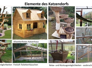 Jubiläumsprojekt: Katzendorf im Tierheim Lohr-Sackenbach