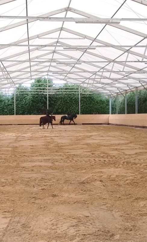Sanierung Reithallenboden