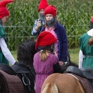 Vereinspferd FuRV Wettringen