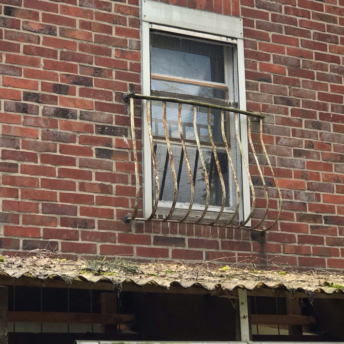 Neue Fenster für das Katzenhaus vom Tierschutz