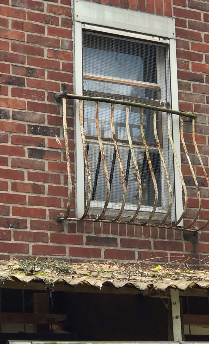 Neue Fenster für das Katzenhaus vom Tierschutz