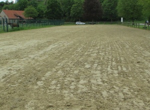 Wasser für Grün und Pferde