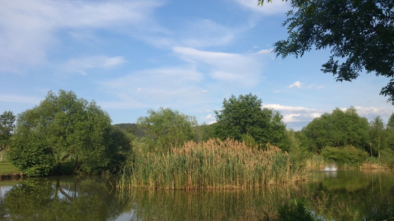 Eidechsenhotel und Uferbefestigung am Auenweiher + Fassadenreparatur