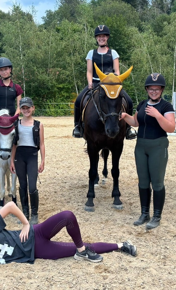 Therapie- und Schulpferd Reitverein Peiting e.V.