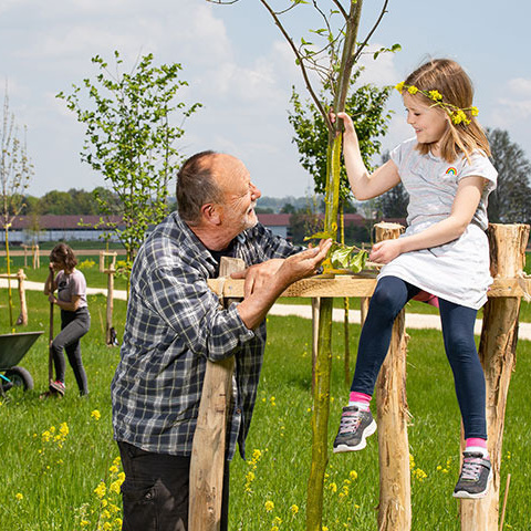 Klimawald Illertissen