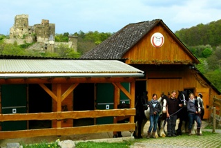 Rundgang auf der Pferdeinsel