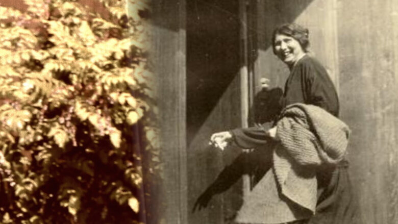 Große Ansicht vom Video