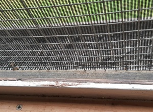 Renovierung Katzenzimmer