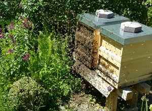Fenster für den Pfrontner Bienenstadel