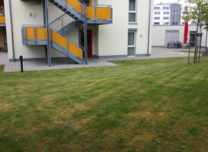 Neuer Garten als Wohlfühloase für 24 Menschen