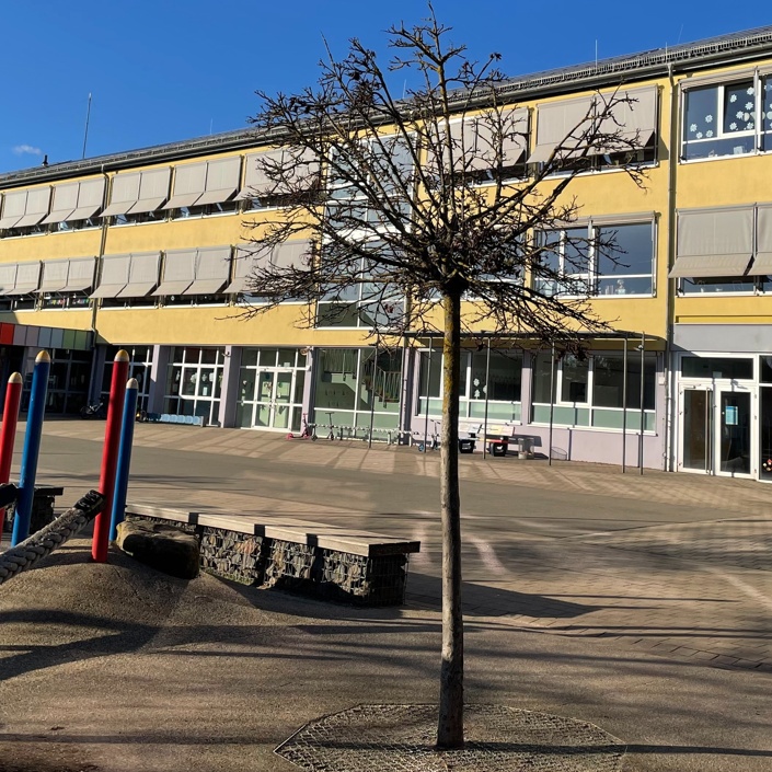 Klettergerüst für die Grundschule Weilerbach