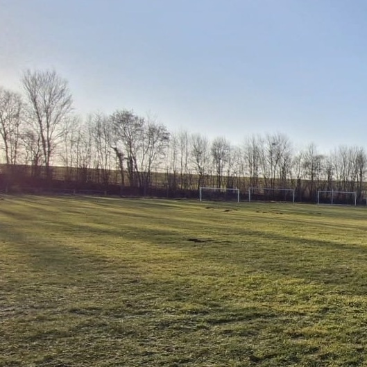 Renovierung des Sportplatzes in Essfeld