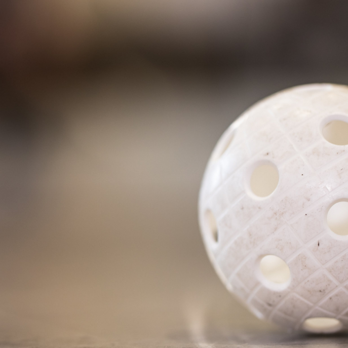 Neue Floorballbande für Mainz