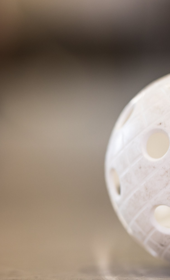 Neue Floorballbande für Mainz
