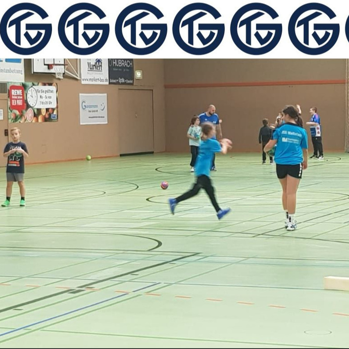 Großwallstädter Handball-Zukunft