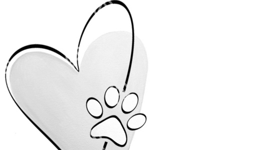 Partnerbild - Ein Herz und vier Pfoten