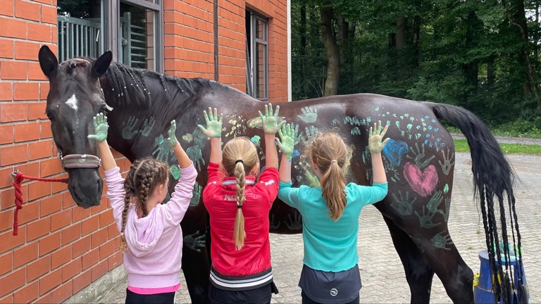 Neues Schulpferd für die Kinder des Voltigier- & Reitunterrichtes