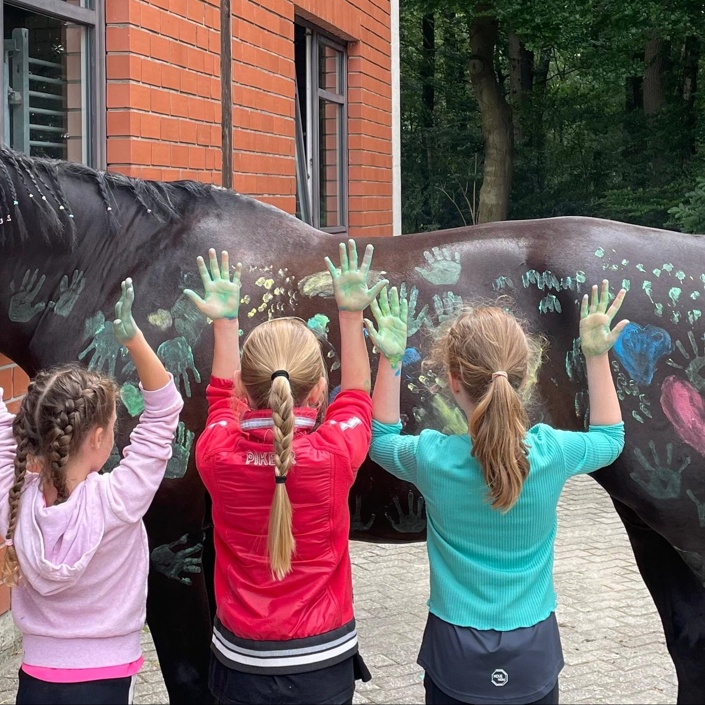 Neues Schulpferd für die Kinder des Voltigier- & Reitunterrichtes