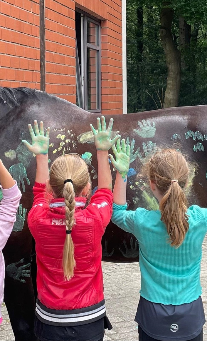 Neues Schulpferd für die Kinder des Voltigier- & Reitunterrichtes