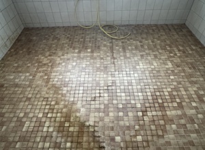 SG Waibstadt: Sanierung der Duschen im Altbau