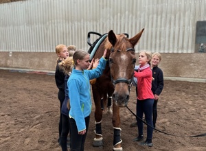 Zukunft auf vier Hufen