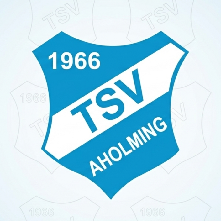 Anschaffung Trainingsbälle TSV Aholming