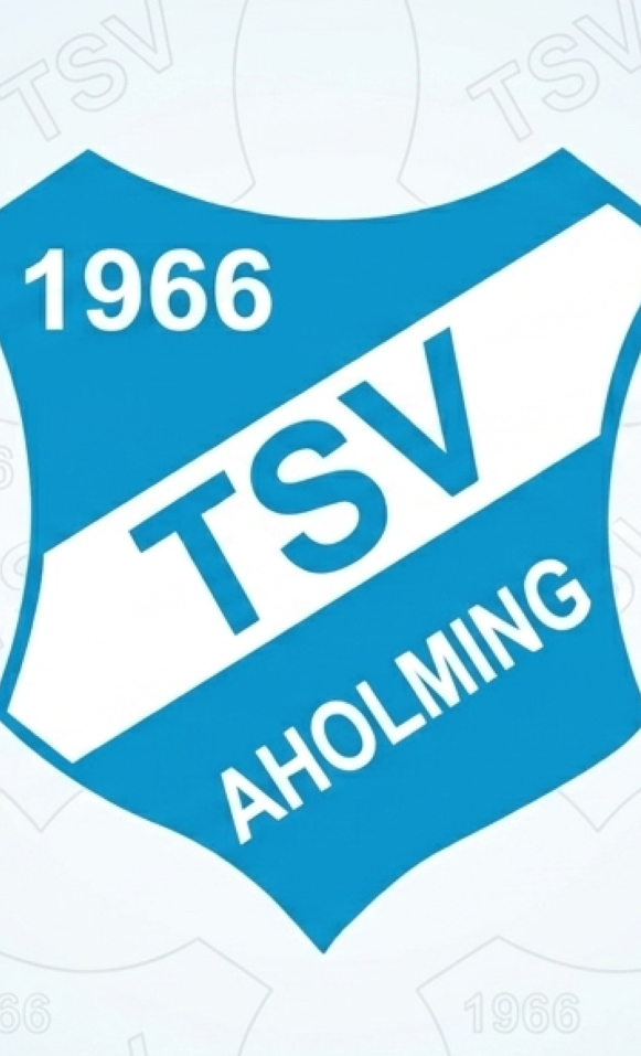 Anschaffung Trainingsbälle TSV Aholming
