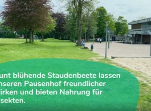 Wir verschönern unsere Schule
