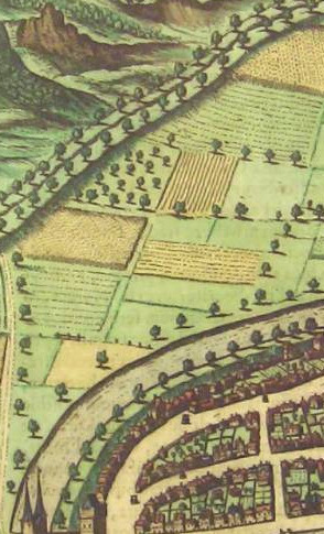 Erforschung der Monterburg mit Bodenradar