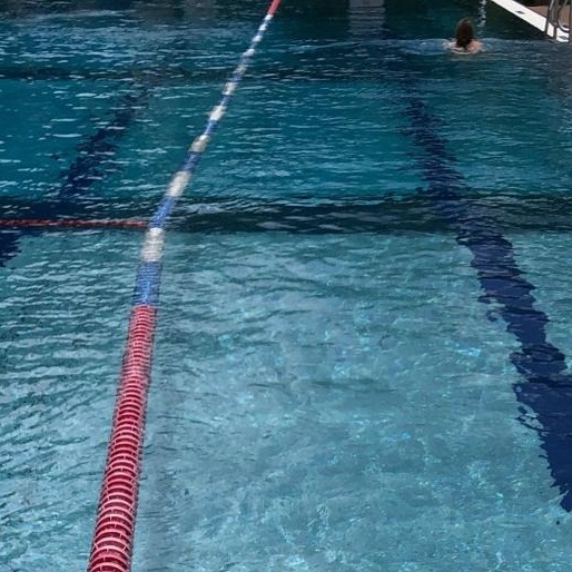 Deutsche Schwimmabzeichen