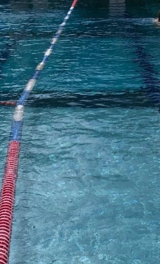 Deutsche Schwimmabzeichen