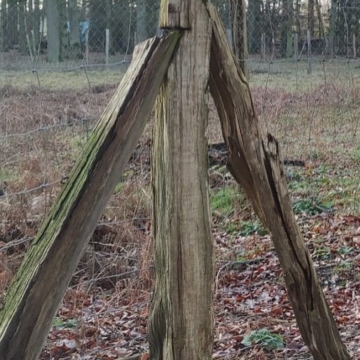 Neue Zäune für das Wildgehege Reichswalde