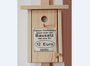 Neues Zuhause für den Trauerschnäpper