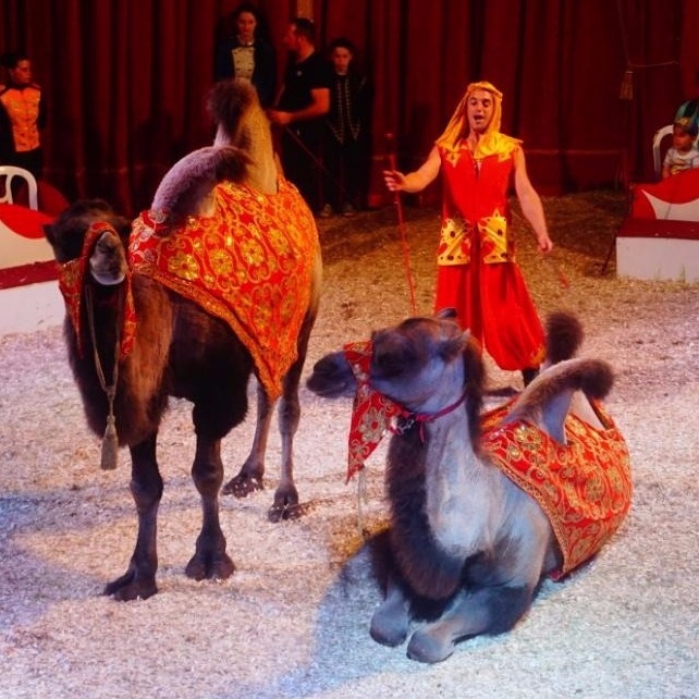 Kinderzirkus Kinderheim Pauline