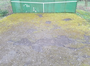 TC BW Soltau - Sanierung Tenniswand