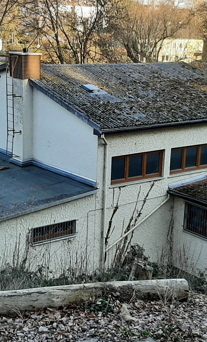 Dachsanierung TV-Halle