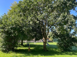 Spielplatz Dill