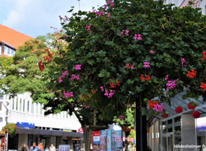 Blumenampeln für Sehnde