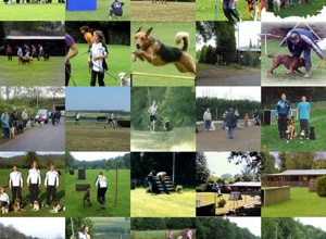 Agility-Geräte für die Hundesportfreunde Sinzig